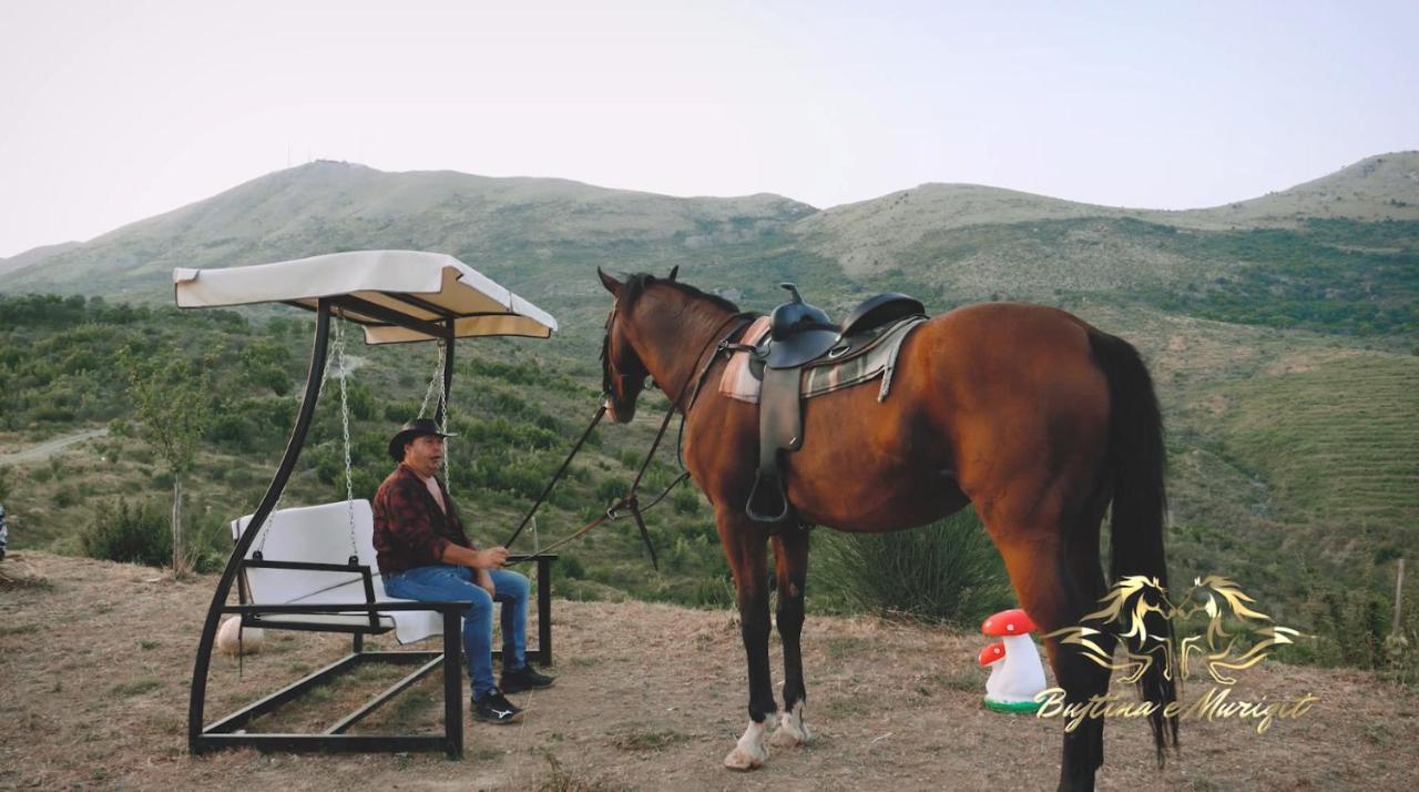 Bujtina E Muriqit Zogaji Buitenkant foto