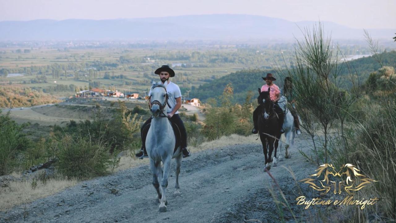 Bujtina E Muriqit Zogaji Buitenkant foto